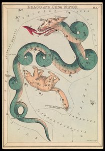 Draco y Osa Menor, c.1825 (cartulina, papel, tejido ) de Sydney Hall