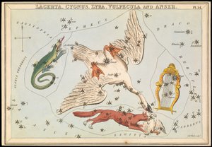 Lacerta, Cygnus, Lyra, Vulpecula y Anser, c.1825 (cartulina, papel, tejido) de Sydney Hall