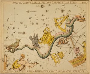 Noctua, Corvus, Crater, Sextans Uraniæ, Hydra, Felis, Lupus, Centaurus, Antlia Pneumatica, Argo Navis, y Pyxis Nautica, Ilustración de 