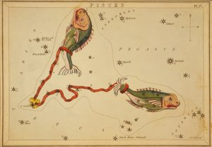 Piscis, ilustración de 