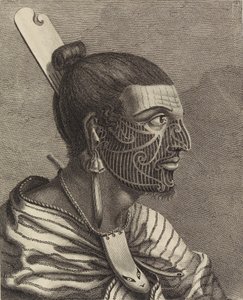 Cabeza de un neozelandés, con un peine en el pelo. de Sydney Parkinson
