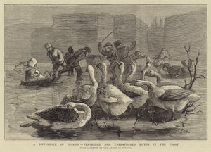 Una diferencia de opinión, bípedos emplumados y no emplumados en la escarcha de Sydney Prior Hall