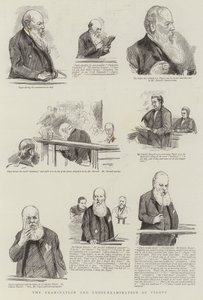El examen y el contraexamen de Pigott