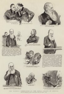 La Comisión Parnell en los Tribunales Reales de Justicia de Sydney Prior Hall