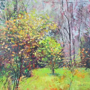 Brillo de primavera de Sylvia Paul