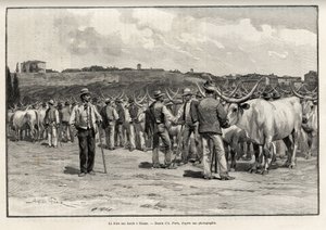 La feria de ganado en Siena (Italia). Grabado por Taylor para ilustrar la historia “A través de la Toscana” de Eugene Muntz (1892) de T Taylor