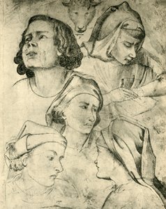 Estudios de cabezas, c. 1320-1366, 1943 de Taddeo Gaddi