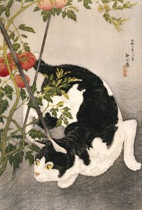 Gato rondando una planta de tomate estacada, 1931 de Takahashi Hiroaki