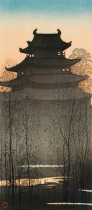 Castillo de Nagoya