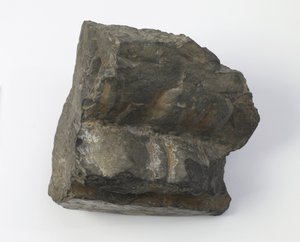 Fragmento de un pedestal de loto