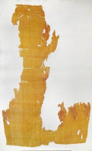 Fragmento de material con patrones de motivos florales y patos mandarines