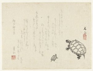 dos tortugas de Tani Bunji