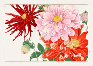 Flor de dalia de "Seiyou Sokazufu" de Tanigami Konan