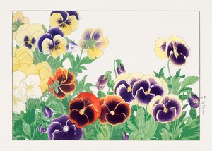 Flor de pensamiento vintage de "Seiyou Sokazufu" de Tanigami Konan