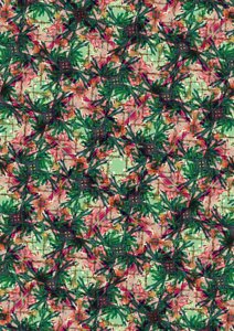 Palma Tropical de Tara Whitehead