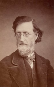 Retrato de John Peter Lesley 1819-1903, diciembre 1875 de Taylor and Brown
