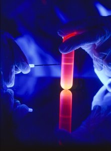 Extracción de nucleótidos de ARN de un tubo de centrífuga de plástico.