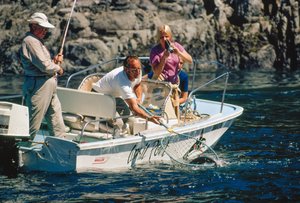 Un pescador captura un salmón en la ensenada de Bute. de Ted Spiegel
