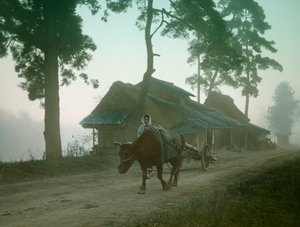  de Teijiro Takagi