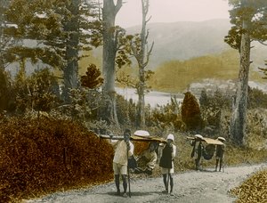 Niña japonesa en un Kago, región de Hakone, hacia 1900 - 1915 (fotografía) de Teijiro Takagi