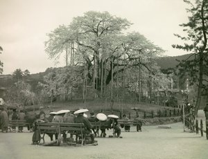  de Teijiro Takagi