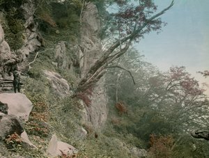 en el camino hacia las cascadas de Kegon en Nikko, hacia 1900 - 1915 (fotografía) de Teijiro Takagi