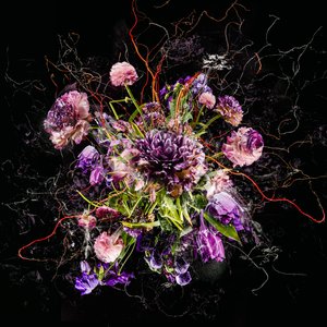Ramo IV, 2017 (foto)