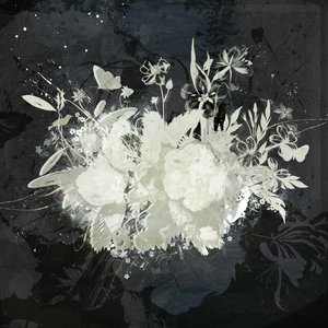 Silueta floral, 2015 (Collage sobre lienzo)