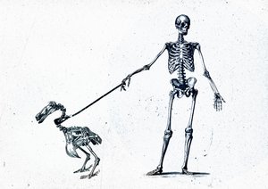 Walking my dodo, 2015 (técnica mixta sobre lienzo)