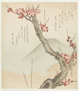 Monte Fuji y un ciruelo en flor