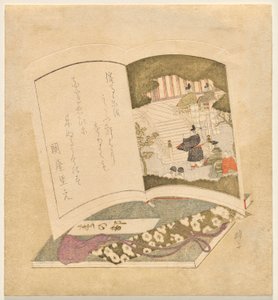 dos libros ilustrados