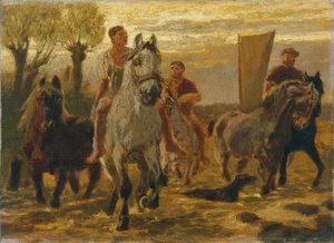 estanque de caballos