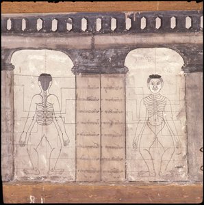 Representación de puntos de masaje en el cuerpo humano