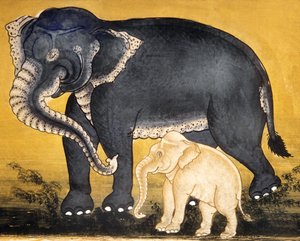 Elefante y cría, página de un manuscrito sobre entrenamiento de elefantes