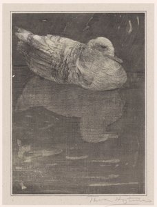Pato flotante de Theo van Hoytema (signed by artist)