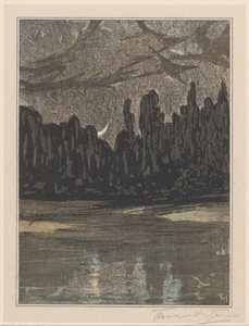 Paisaje nocturno con aves migratorias de Theo van Hoytema (signed by artist)