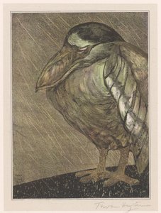 Garza real bajo la lluvia de Theo van Hoytema (signed by artist)
