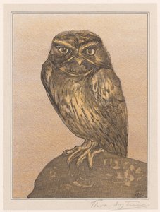 Pequeño búho en la roca de Theo van Hoytema (signed by artist)
