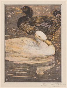 Dos patos