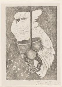 Cacatúa blanca de Theo van Hoytema (signed by artist)