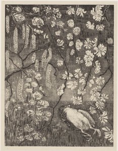 Pájaro muerto entre ramas de avellano y madreselva
Estudios florales (título original de la serie) de Theo van Hoytema