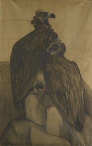 Dos buitres árabes de Theo van Hoytema