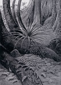 La hormiga cortadora de hojas (litografía) de Theobald Carreras