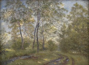 Un Río cerca de la Mansión Meilgård, Jutlandia de Theodor Philipsen