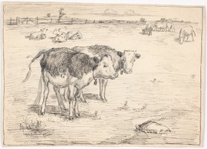 Un par de terneros en "Fladen", Saltholm de Theodor Philipsen
