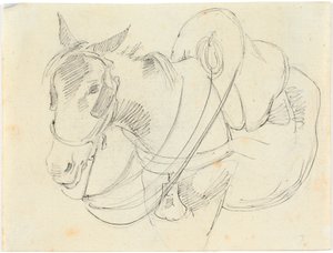 Mulas. Italia de Theodor Philipsen