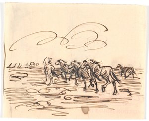 Caballos trotando