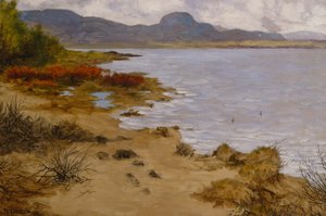 Escena de playa en Soneren (Andersnatten)