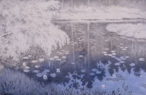 Hay un estanque en Svartebudale
