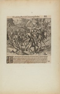 Crudelitas Petride Calyce Erga Indos. III. (del libro, Americae, cuarta parte)